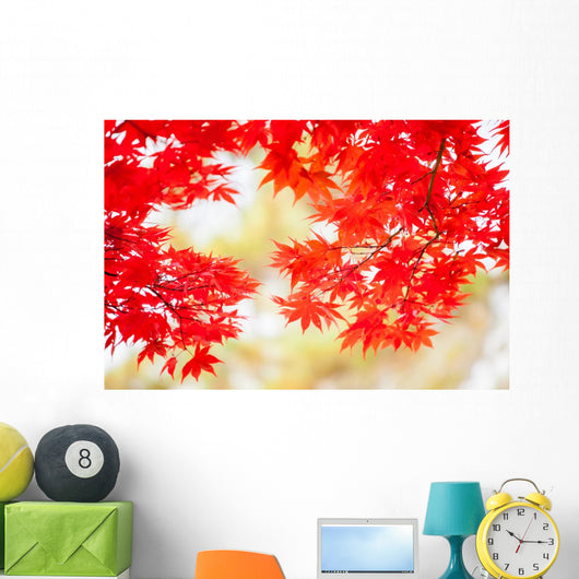 Colored Japanese Maple Leaf Wall Decal