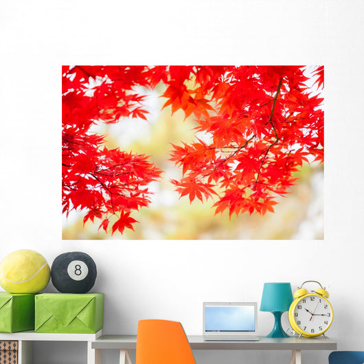 Colored Japanese Maple Leaf Wall Decal