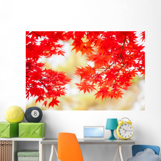 Colored Japanese Maple Leaf Wall Decal