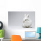 Video White Rabbit Blue Wall Decal