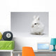 Video White Rabbit Blue Wall Decal