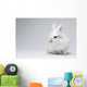 Video White Rabbit Blue Wall Decal