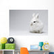 Video White Rabbit Blue Wall Decal