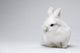 Video White Rabbit Blue Wall Decal