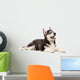 Siberian Husky Puppy White Wall Decal Design 3