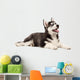 Siberian Husky Puppy White Wall Decal Design 3