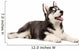 Siberian Husky Puppy White Wall Decal Design 3