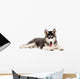 Siberian Puppy Dog Wall Decal