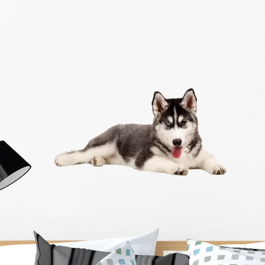 Siberian Puppy Dog Wall Decal