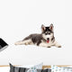 Siberian Puppy Dog Wall Decal