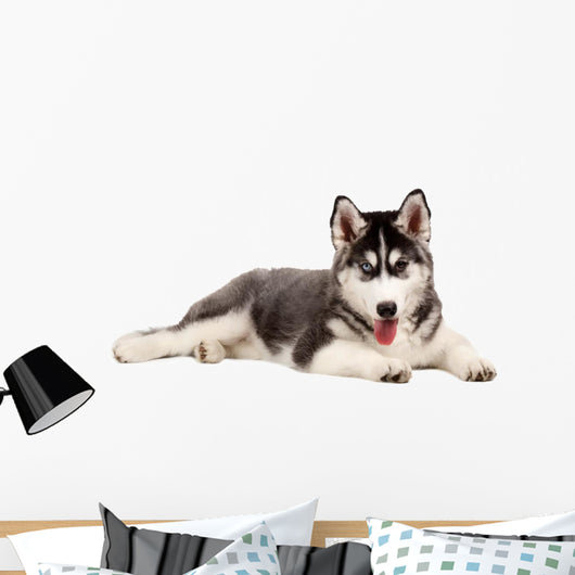 Siberian Puppy Dog Wall Decal