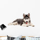 Siberian Puppy Dog Wall Decal