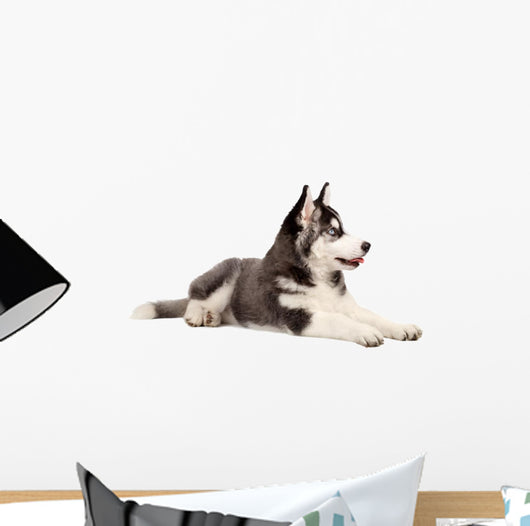 Siberian Husky Puppy Wall Decal Design 1