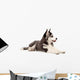 Siberian Husky Puppy Wall Decal Design 1
