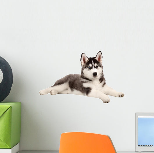 Husky Puppy Dog Wall Decal