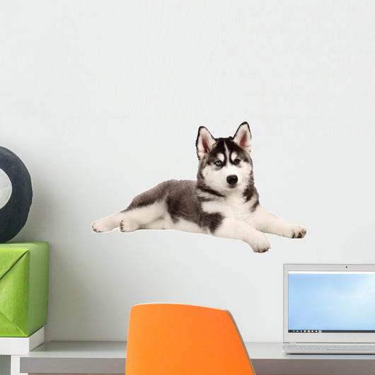 Husky Puppy Dog Wall Decal