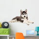 Husky Puppy Dog Wall Decal