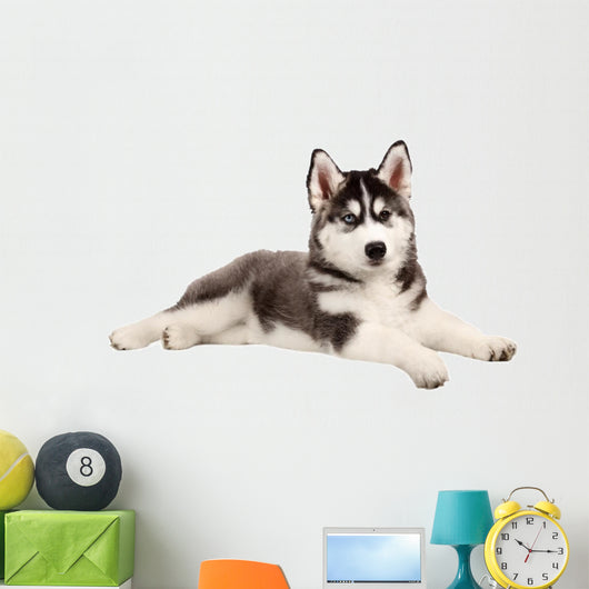 Husky Puppy Dog Wall Decal