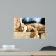 Tabby Cat Trying to Wall Decal
