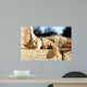 Tabby Cat Trying to Wall Decal