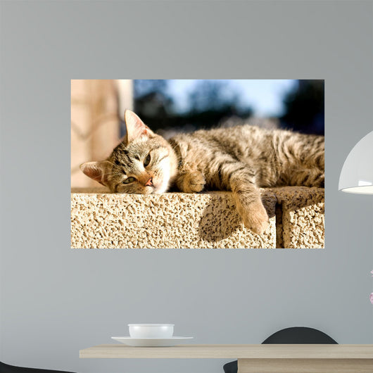 Tabby Cat Trying to Wall Decal
