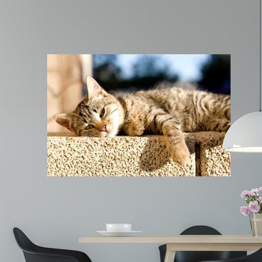 Tabby Cat Trying to Wall Decal