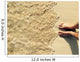 Sandy Feet Wall Decal