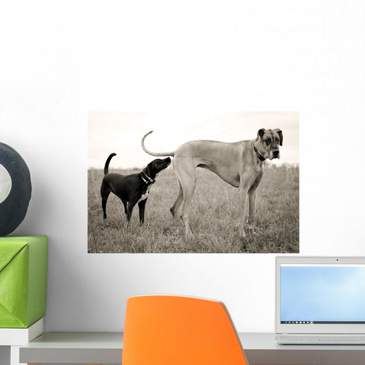Embarrassed Great Dane Wall Decal