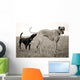 Embarrassed Great Dane Wall Decal