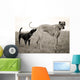 Embarrassed Great Dane Wall Decal