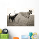 Embarrassed Great Dane Wall Decal