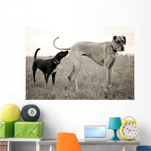 Embarrassed Great Dane Wall Decal