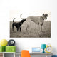Embarrassed Great Dane Wall Decal