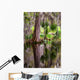 Magnolia Plantation Swamp Garden Wall Decal