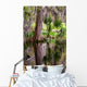 Magnolia Plantation Swamp Garden Wall Decal
