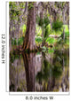 Magnolia Plantation Swamp Garden Wall Decal