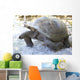Aldabra giant tortoise in island Curieuse. Wall Mural
