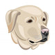 Labrador Wall Decal Design 2