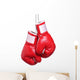 Leather Boxing Gloves Wall Decal
