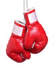 Leather Boxing Gloves Wall Decal