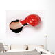 Hand Boxing Glove through Wall Decal