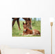 Foal and Horse Pasture Wall Decal