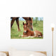 Foal and Horse Pasture Wall Decal