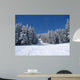 Ski Wall Decal