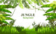 Customizable Jungle Scene Wall Decal