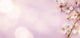 Pink Spring Blossoms Wall Decal