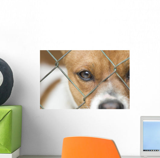 Dog behind Wire Mesh Wall Decal