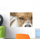 Dog behind Wire Mesh Wall Decal
