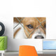 Dog behind Wire Mesh Wall Decal
