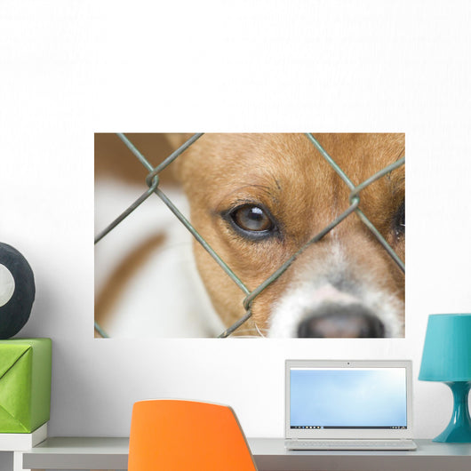 Dog behind Wire Mesh Wall Decal